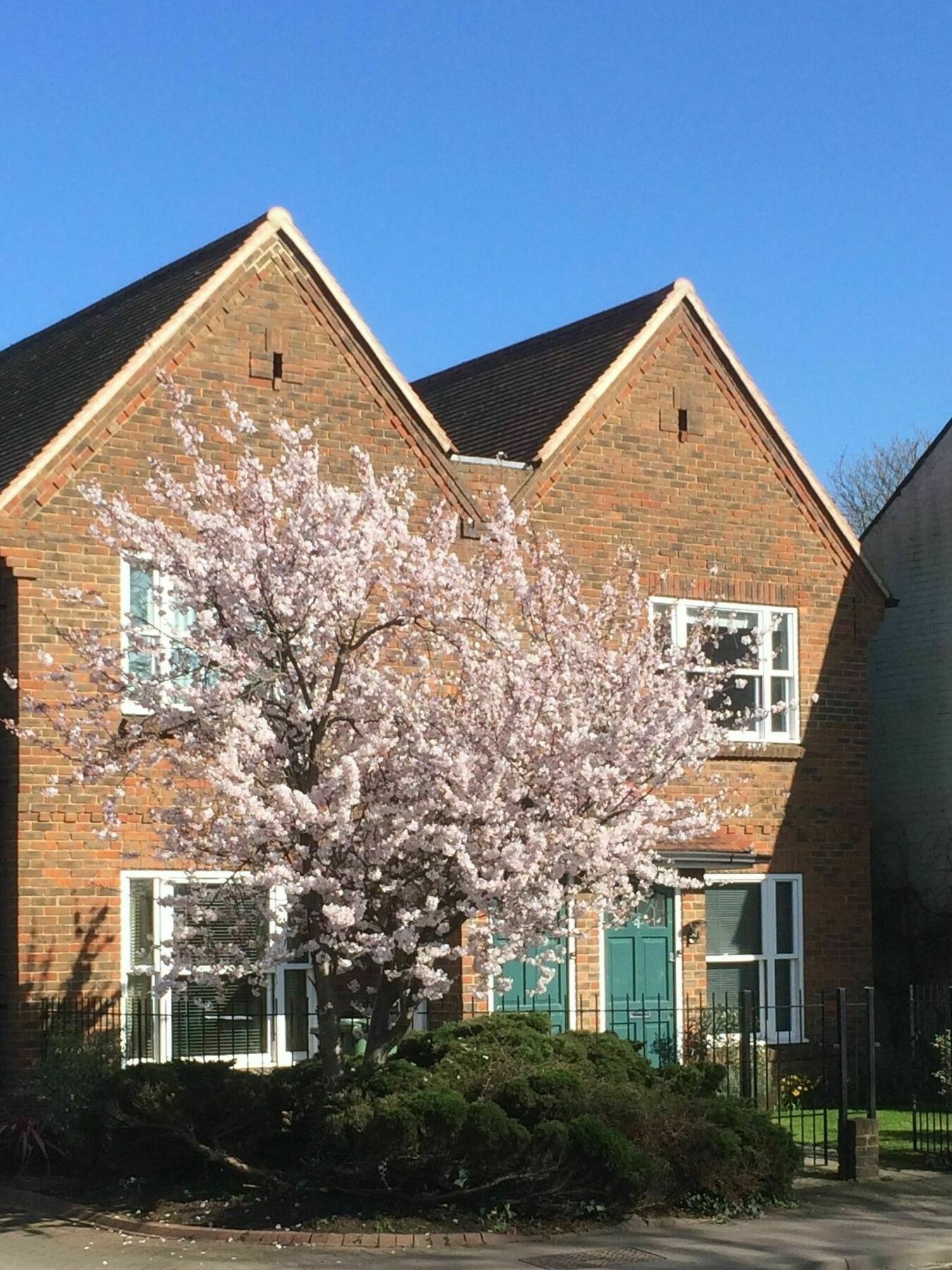 3 Summertown Court * Oxford